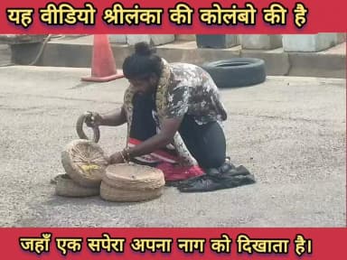 यह वीडियो श्रीलंका की राजधानी कोलंबो की है जहां पर एक सपेरा टूरिस्ट को अलग-अलग तरह का सांप दिखाकर कुछ पैसे कमाता है