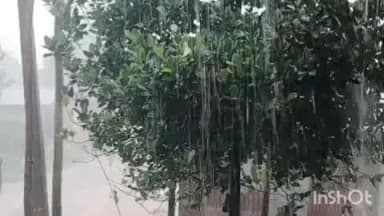 उधवा: उधवा प्रखंड क्षेत्र में बारिश के दौरान 33 केवी लाइन में तकनीकी समस्या उत्पन्न होने से घंटों रही बिजली आपूर्ति बाधित
