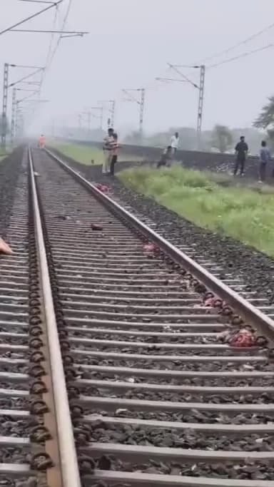 नीमच नगर: नीमच में रेलवे ट्रैक पर ट्रेन से कटकर 18 वर्षीय युवक की दर्दनाक मौत