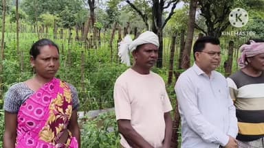 अडकी: अफीम की जगह खेतों में लहलहाया टमाटर, किसान ने दिखाई बदलाव की राह