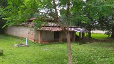 वर्षा काल में अनेक गुडो से परिपूर्ण है मुनगा पत्ते का भाजी या सुप l
2 दिन के अंतर में एक गिलास पिये! स्वस्थ रहिए🎆🎆