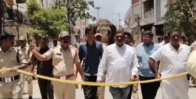 హనుమకొండ: బోనాల ఉత్సవాల్లో భాగంగా అమ్మవారి ఘటాలు ఊరేగించేందుకు లక్ష్మి ఏనుగు అక్కన్న మాదన్న మహంకాళి ఆలయానికి చేరుకుంది