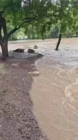 ग्राम पंचायत ओड़ियाखेड़ी में भारी बारिश के कारण नदी नाले उफान पर
