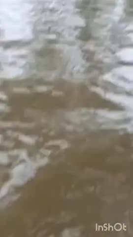 सीहोर नगर: सीहोर में बिजली के झूलते तारों से परेशान ग्रामीणों का कुलास नदी किनारे प्रदर्शन, पेड़ों पर लटकाए अफसरों के पुतले