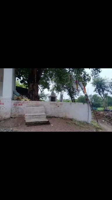 ग्राम सेसराबाद में पुल न होने के कारण ग्राम बसियों को काफी परेशानियों का सामना करना पड़ रहा है