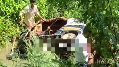 रतनी फरीदपुर: जहानाबाद-अरवल मार्ग पर नेहालपुर में 20 फीट गड्ढे में पलटा ऑटो, तीन घायल