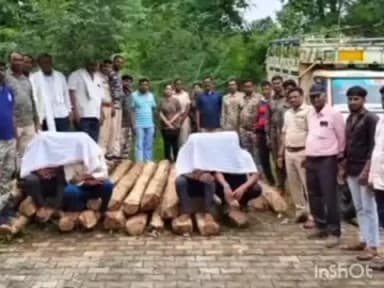 जिवती: जिवती वनपरिक्षेत्रात सागवान तस्करीचा पर्दाफाश