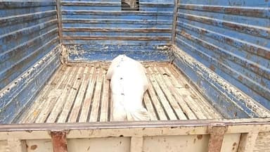 मड़िहान: राजगढ़ के दरवान गांव में संदिग्ध परिस्थितियों में विवाहिता का शव फांसी के फंदे पर लटकता मिला, मौके पर पहुंची पुलिस