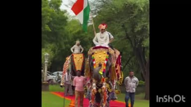 जयपुर: 62 लाख के शाही गहनों से सजा बाबू हाथी, 21 हाथियों ने किया रॉयल रैंप वॉक
