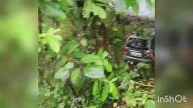 കോഴിക്കോട്: കുറ്റ്യാടിയിൽ ഡ്രൈവർ ഉറങ്ങിപ്പോയതിനെ തുടർന്ന് നിയന്ത്രണം വിട്ട കാർ റോഡരികിലെ താഴ്ചയിലേക്ക് പതിച്ചു.