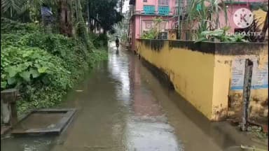 ডায়মন্ডহারবার ১: অতিরিক্ত বৃষ্টি ডায়মন্ড হারবার পৌরসভার একাধিক ওয়াড জল জমে গেছে