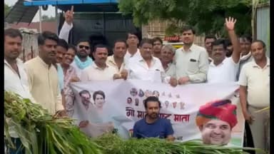 कोटड़ी: धीरज गुर्जर के जन्मदिवस पर गौ माता की सेवा, कोटडी गौशाला में वितरित किया हरा चारा, लापसी और गुड़