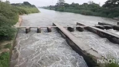 कोल: जवाँ, नहर पर खड़े होकर सेल्फी लेना युवक को पड़ा भारी, पैर फिसलने से युवक नहर में डूबा, गोताखोर ढूंढने में हुए नाकाम