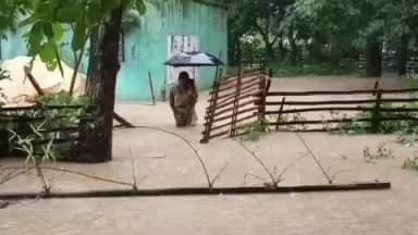 तांतनगर: तांतनगर, कुमारडूंगी: धनसरी नदी उफान पर, तेज बहाव में घर बहा, गाड़ासाई टोला डूबा, लोग भागे