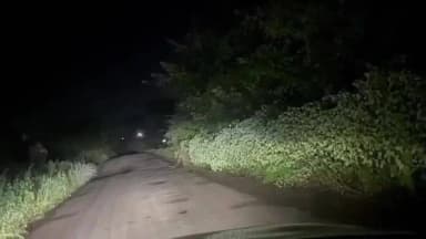 नाशिक: गौळने शिवारात रात्रीच्या वेळी बिबट्याचे दर्शन नागरिकांमध्ये घबराटीचे वातावरण