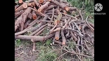 मुळशी: मुळशीची वनसंपदा नष्ट केली जातेय पौडच्या घाटातील विदारक दृश्य