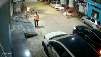 लाडपुरा: कोटा में शराब व्यवसायी को बेहोश होने तक पीटा, जान बचाकर दौड़ने पर सड़क पर गिरा, हाथ-पैर में गंभीर चोटें, CCTV सामने आया