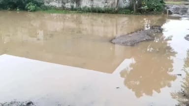 तळोदा: तळोदा शहरात मुसळधार पावसामुळे हरीओम नगरसह विविध कॉलनीमध्ये पाणी साचल्याने नागरिकांचे हाल
