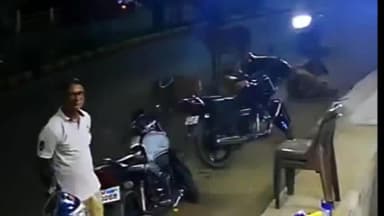 घोड़ाडोंगरी: घोड़ाडोंगरी मेन रोड पर तेज रफ्तार बाइक ने सड़क पर बैठी दो गायों को मारी टक्कर, बाइक चालक गंभीर घायल