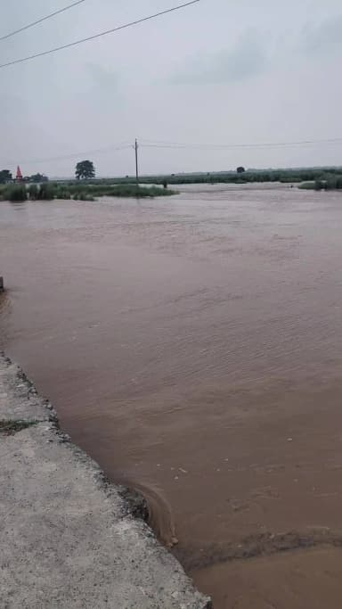 मोहम्मदगंज: कोयल नदी में भीषण बाढ़, 3 लाख क्यूसेक पानी का बहाव; कई गांव प्रभावित, तटबंध न बनने पर ग्रामीणों का आक्रोश