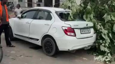गोरमी: पेड़ से टकराई अनियंत्रित कार, बाल-बाल बचे कार सवार