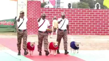 శ్రీకాకుళం: స్వాతంత్ర దినోత్సవ వేడుకల సందర్భంగా అందరిని విశేషంగా ఆకట్టుకున్న జాగిలాలతో చేసిన విన్యాసాలు