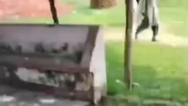 लालगंज: कुटिलिया सांडेई गांव में पुरानी रंजिश के चलते दुकान पर हमला कर मारपीट का आरोप, वीडियो हुआ वायरल