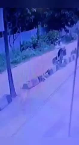 మేడ్చల్: మేడ్చల్ లో పోలీస్ స్టేషన్ పరిధి లో చైన్ స్నాచింగ్ కేసు నమోదు