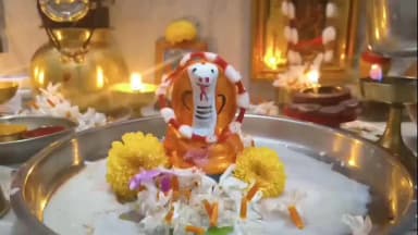 ಧಾರವಾಡ: ಧಾರವಾಡ ನಗರದ ವಿವಿಧ ಕಡೆಗಳಲ್ಲಿ ಶ್ರದ್ಧಾ ಭಕ್ತಿಯಿಂದ ನಾಗರ ಪಂಚಮಿ ಹಬ್ಬ ಆಚರಣೆ