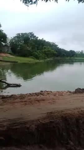 ##@@@shivpurva@8737982420