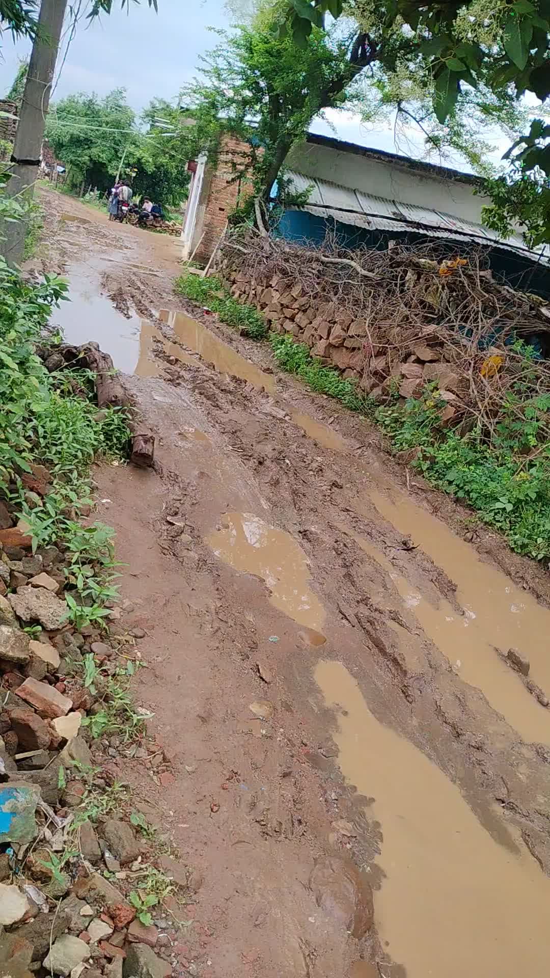 madiyado ke katra muhalla ki halki sar hai