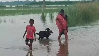 सगड़ी: सगड़ी क्षेत्र में डिघिया गेज पर घाघरा नदी का जलस्तर खतरा बिंदु से 82 सेंटीमीटर ऊपर पहुंचा, कई संपर्क मार्ग जलमग्न