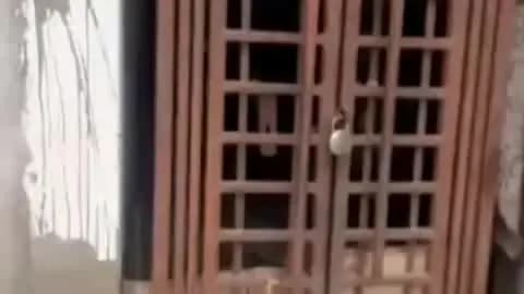 पलवल: पलवल में जमानत पर छूटे व्यक्ति की हत्या, आरोपी ने मां की हत्या का बदला लेकर थाने में किया सरेंडर