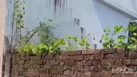 जैतपुर: जैतपुर में दिनदहाड़े घर का ताला तोड़कर तीन लाख की चोरी