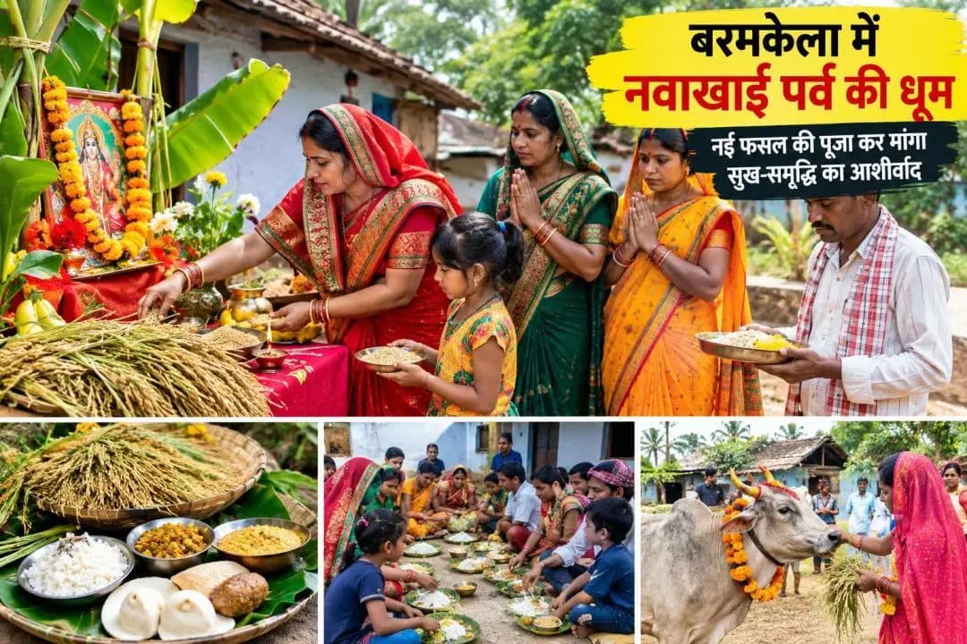 बरमकेला: बरमकेला में नवाखाई पर्व की धूम, नई फसल की पूजा