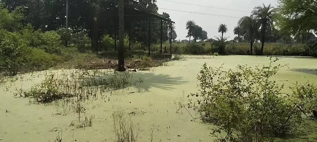 निवाड़ी: उबौरा में अंतिम संस्कार के लिए नहीं मिली ज़मीन, ग्रामीण सड़क किनारे चिता सजाने को मजबूर