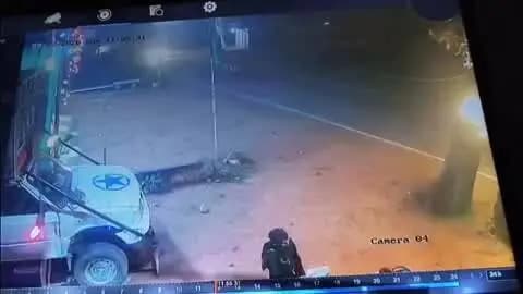 टीकमगढ़: तेज रफ्तार कार ने गौवंशों को रौंदा, एक की मौत, दूसरी गंभीर घायल; गौ सेवकों ने कार्रवाई की मांग की