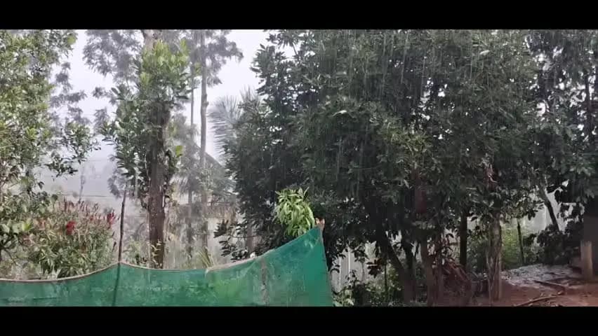 கூடலூர்: நீலகிரியில் நாளை மழைக்கு வாய்ப்பு
