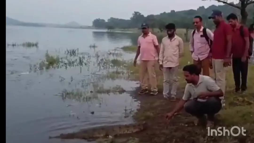 నర్సంపేట: నర్సంపేట వాగులో మొసలి ప్రత్యక్షం: సురక్షితంగా పట్టుకున్న అటవీశాఖ సిబ్బంది