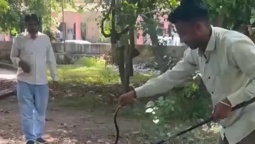 बूंदी: न्यायालय परिसर में निकली कोबरा नागिन का किया सुरक्षित रेस्क्यू, जंगल में छोड़ा गया