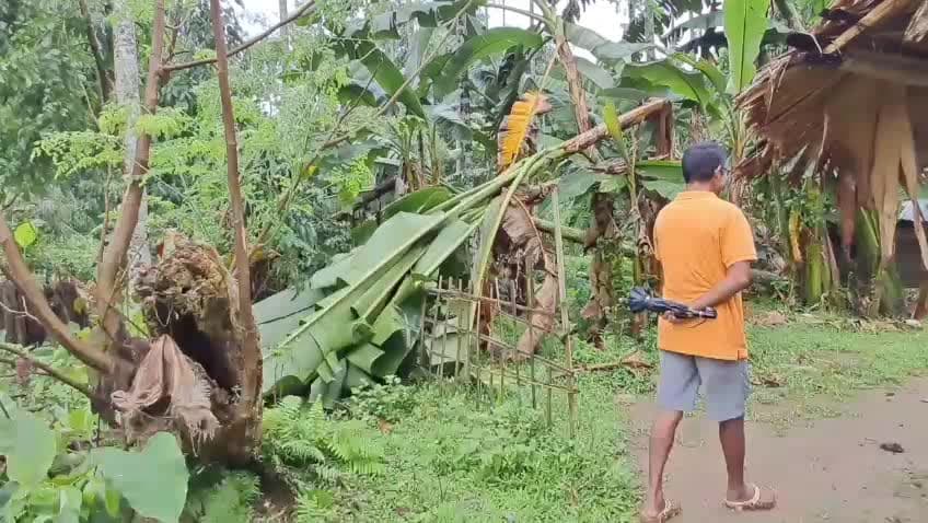 সোণাৰি: থুকুবিলত কেইবাটাও পৰিয়াল প্ৰচণ্ড ধুমুহাত ক্ষতিগ্ৰস্ত, ক্ষতিপূৰণৰ দাবী ৰাইজৰ