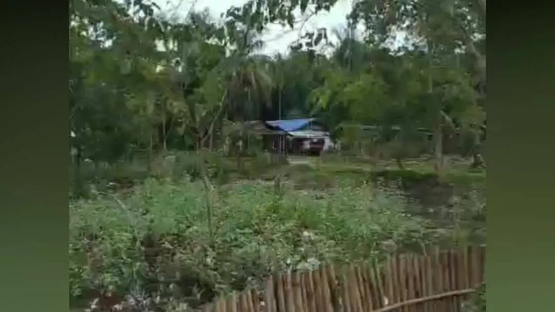 মৰঙী: মৰঙিৰ কৰ্দৈগুৰিত বন্যহস্তীৰ মুক্ত বিচৰণ, আতংকিত ৰাইজ