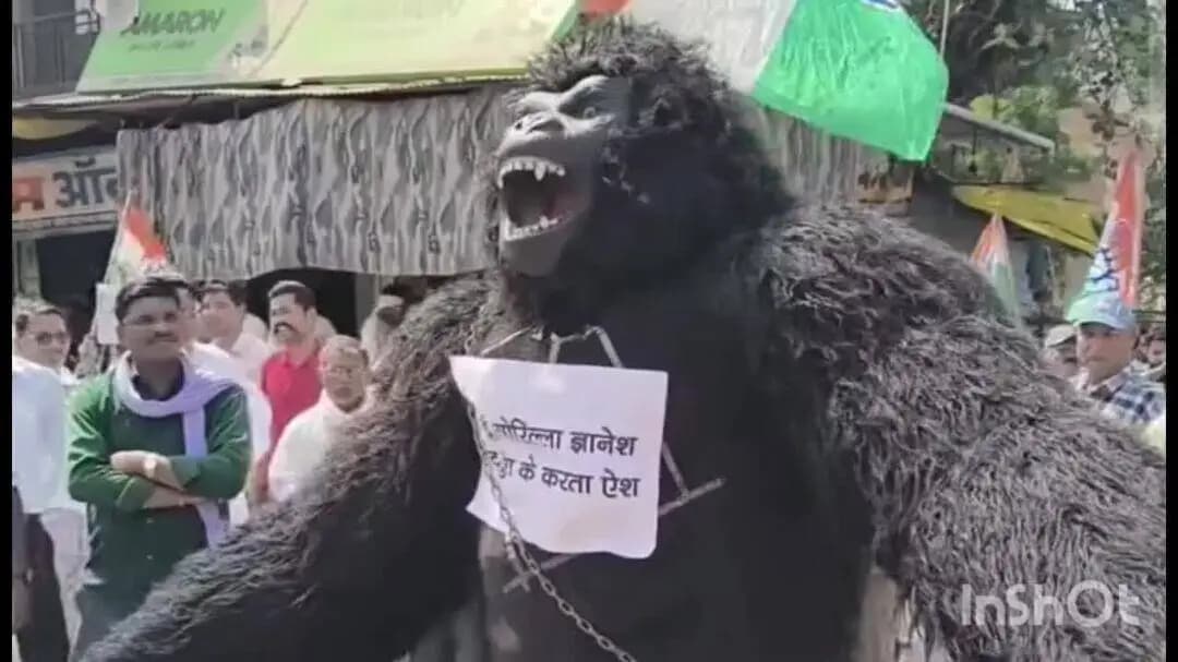 गुना: गुना में SIR के विरोध में कांग्रेस का प्रदर्शन, गोरिल्ला बने युवक ने लिखा, 'मैं हूं गोरिल्ला ज्ञानेश, वोट चुरा के करता ऐश'