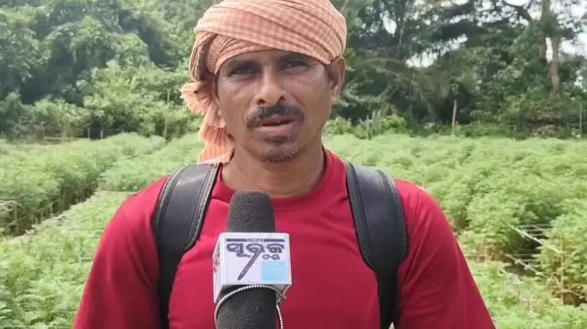 ଜଳେଶ୍ବର: ସୁବର୍ଣ୍ଣରେଖା ବନ୍ୟା: ଚାଲନ୍ତି ଗ୍ରାମରେ ଚାଷୀଙ୍କ ପନିପରିବା ଫସଲ ନଷ୍ଟ