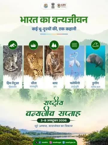 हिमालय की ऊँचाइयों से लेकर हमारे तटीय जल तक, भू-दृश्य बदलते हैं और उनके साथ बदलती है वन्यजीवन की दुनिया।
इस Wildlife Week, उन अनगिनत प्राकृतिक संसारों का जश्न मनाएँ जो भारत को इतना खास बनाते हैं।
#NationalWildlifeWeek #wildlifeweek2026
