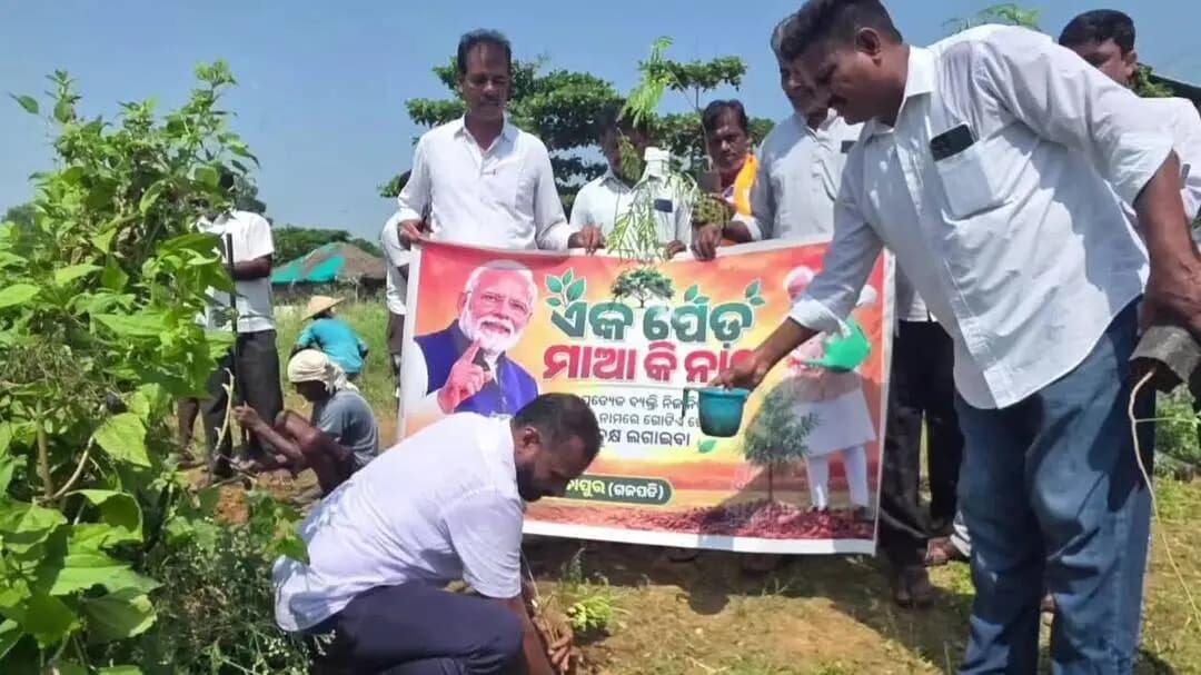 ପାରଳାଖେମୁଣ୍ଡି: ବିଜେପି ପକ୍ଷରୁ ବୃକ୍ଷରୋପଣ ଓ ସ୍ୱଚ୍ଛ ଭାରତ କାର୍ଯ୍ୟକ୍ରମ