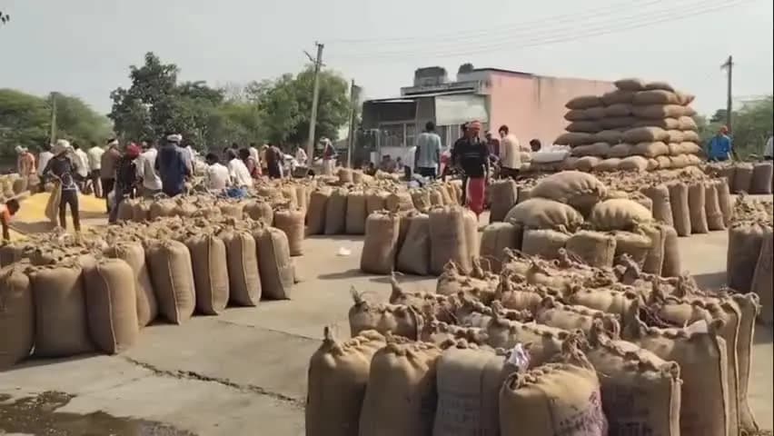 रायपुर: रायपुर कृषि उपजमंडी में सोयाबीन के भाव स्थिर, आज 4000 कट्टे सोयाबीन की हुई आवक