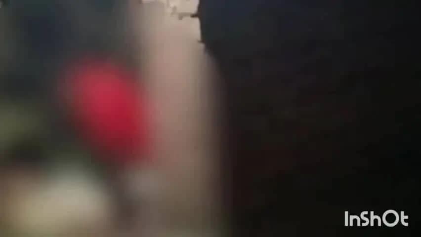 संदेश: भोजपुर में छह बच्चों का पिता बना हैवान, बेजुबान फीमेल डॉग के साथ किया दुष्कर्म, वीडियो सामने आने पर मचा हड़कंप
