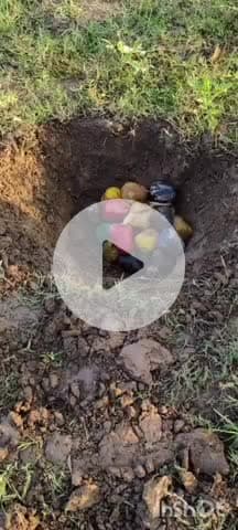 কালিয়াচক ৩: পারদেওনাপুরে উদ্ধার হওয়া ২২টি তাজা বোমা নিষ্ক্রিয় করলো সিআইডির বোম্ব ডিসপোজাল স্কোয়াড