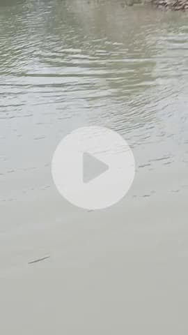 Mera gaw Pani me duh gya rajapakhar kantnagar